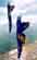 Vertical, 123kb