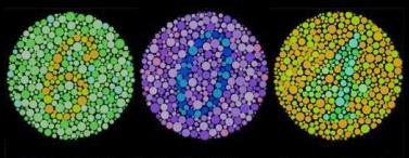 Color Vision Test